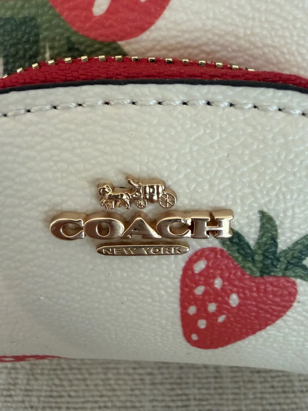 Coach Mini Court Backpack Bag Charm With Wild Strawberry Print CI019